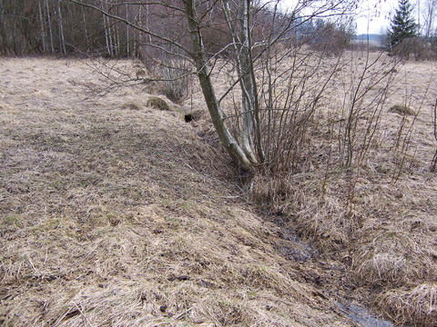 Foto 37